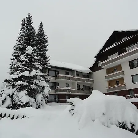 Fewo Haude Braunlage Extérieur photo