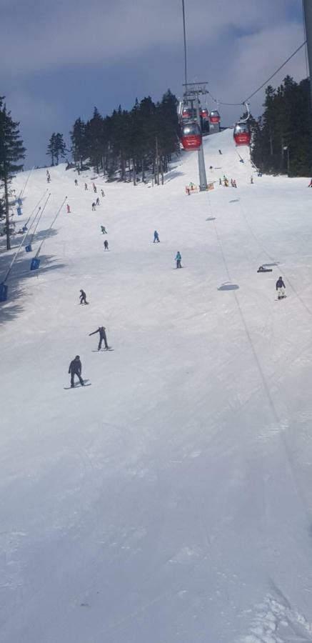 Haude * Braunlage